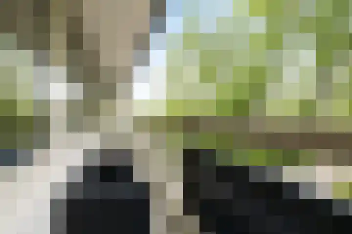 Wiekslag 213 Amersfoort thumbnail 4