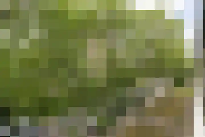 Wiekslag 213 Amersfoort thumbnail 6