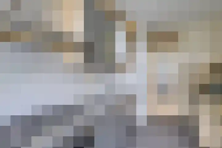 Wiekslag 213 Amersfoort thumbnail 9