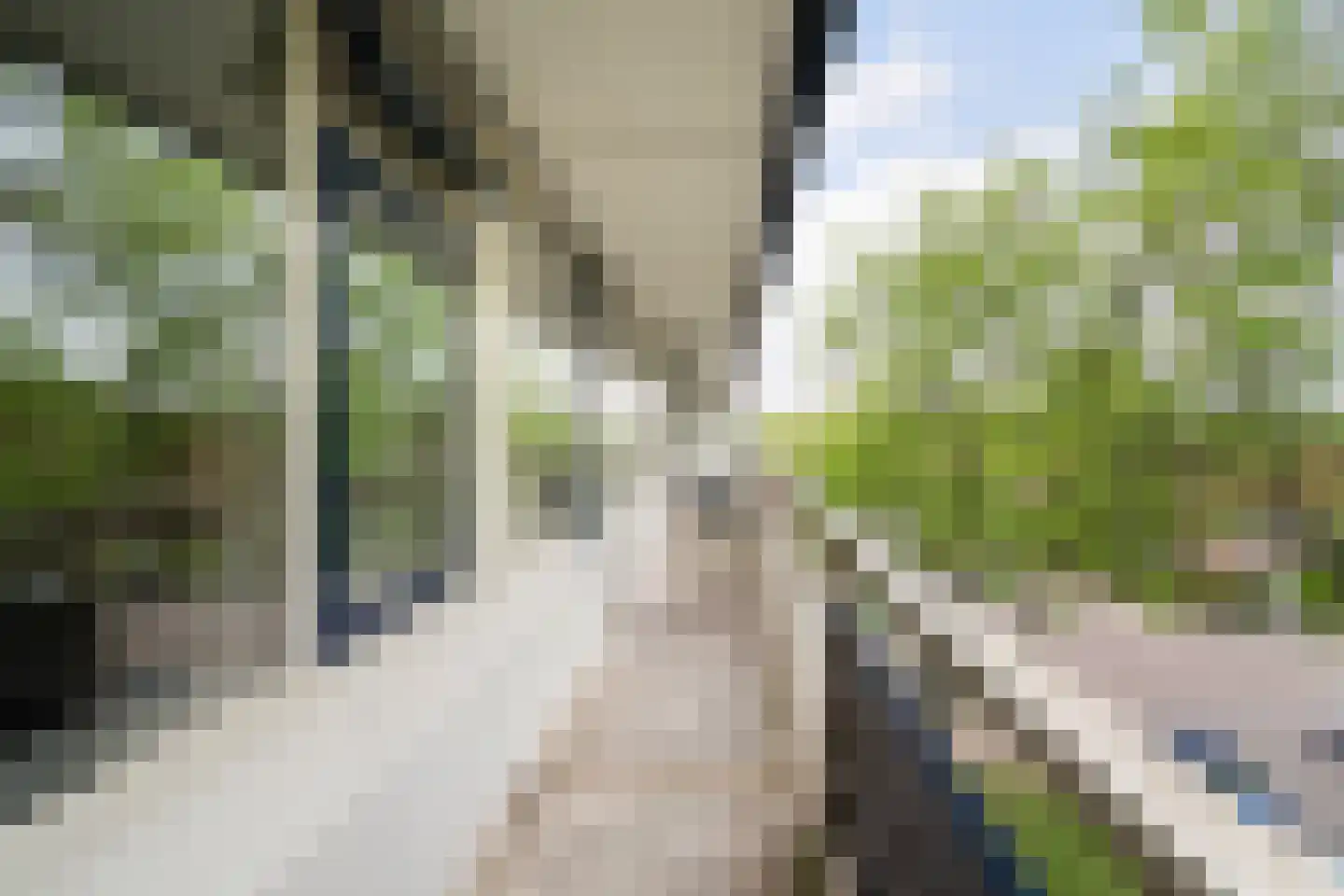 Wiekslag 225 Amersfoort thumbnail 25