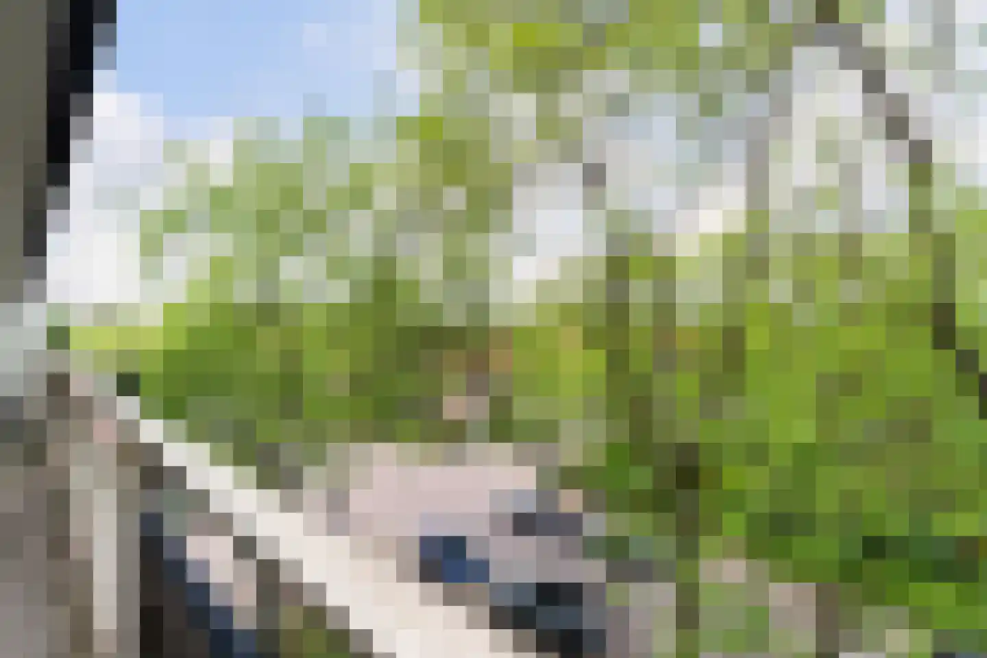 Wiekslag 225 Amersfoort thumbnail 26