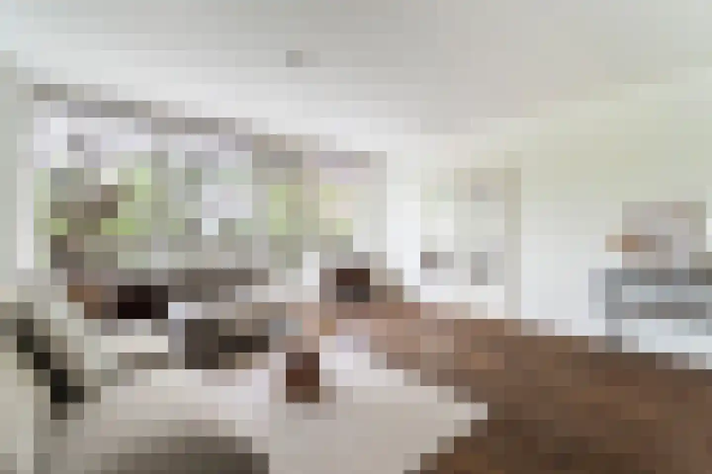 Wiekslag 225 Amersfoort thumbnail 9