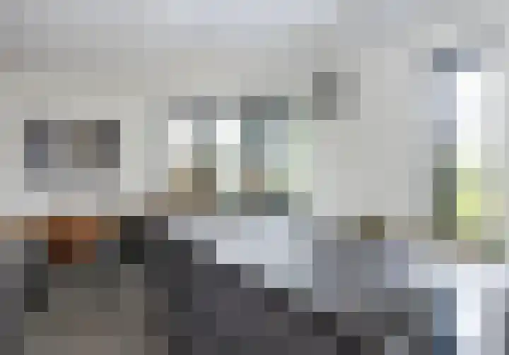 Wiekslag 25 Nistelrode thumbnail 15