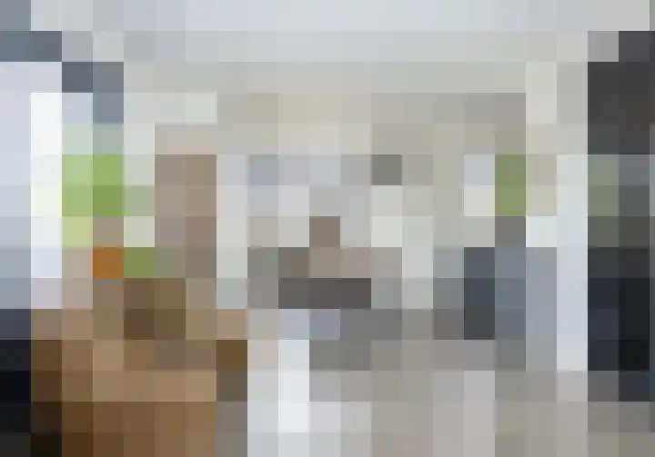 Wiekslag 25 Nistelrode thumbnail 16
