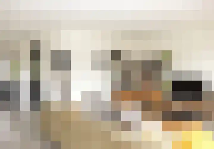 Wiekslag 25 Nistelrode thumbnail 19