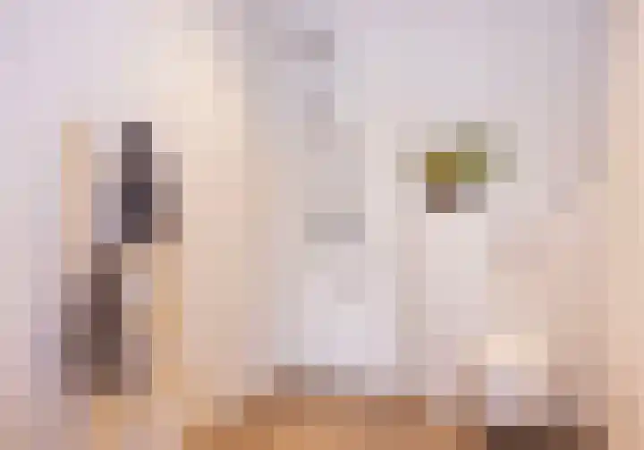 Wiekslag 25 Nistelrode thumbnail 23