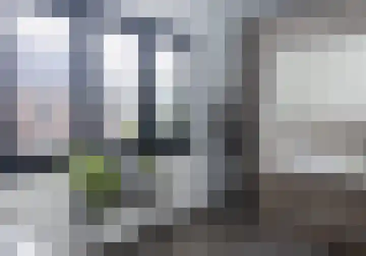 Wiekslag 25 Nistelrode thumbnail 32