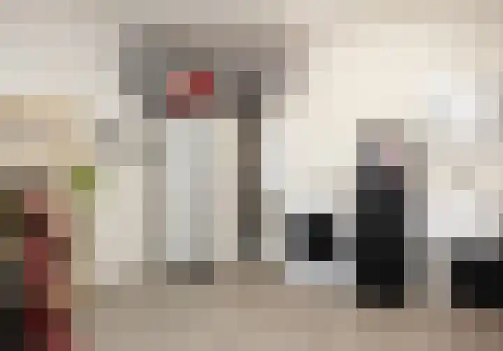 Wiekslag 25 Nistelrode thumbnail 37