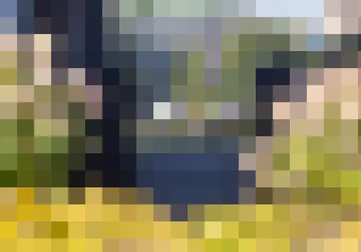 Wiekslag 25 Nistelrode thumbnail 41