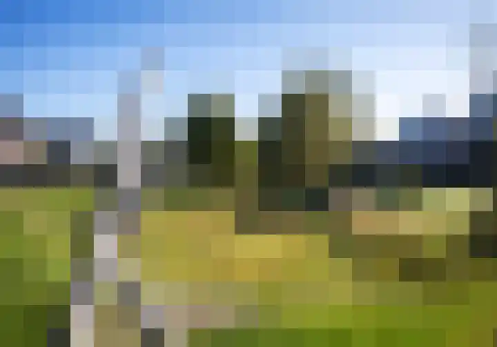Wiekslag 25 Nistelrode thumbnail 46