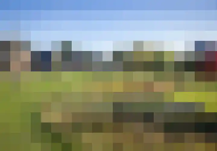 Wiekslag 25 Nistelrode thumbnail 47