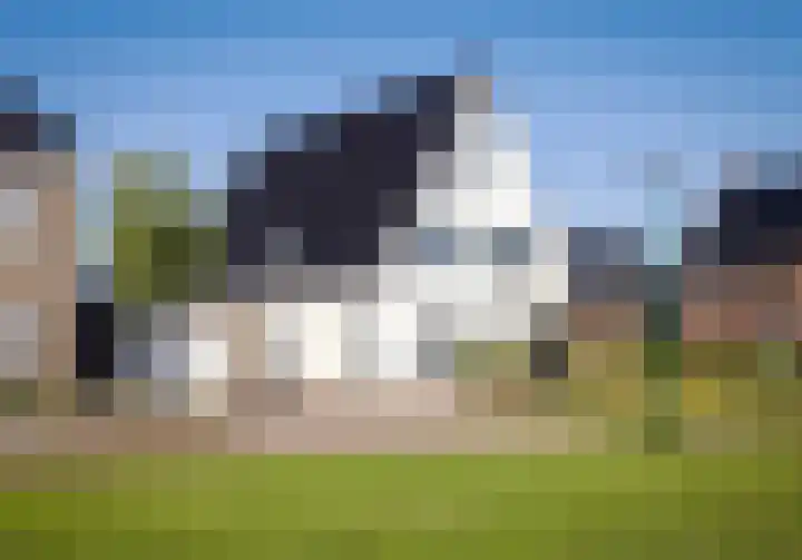 Wiekslag 25 Nistelrode thumbnail 5