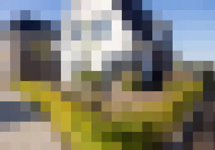Wiekslag 25 Nistelrode thumbnail 7