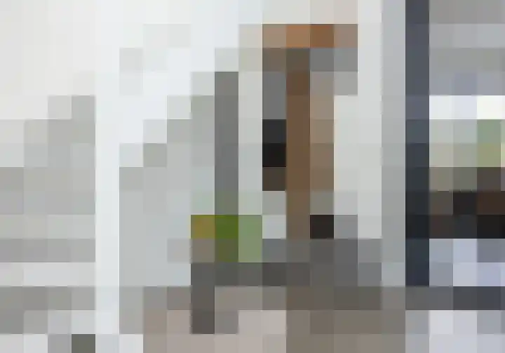 Wiekslag 25 Nistelrode thumbnail 9