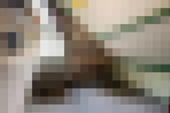 Wiekslag 3 Ermelo thumbnail 19