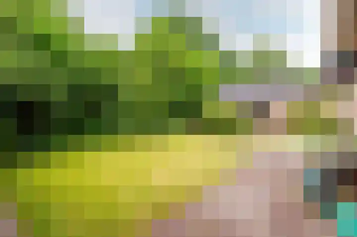 Wiekslag 3 Ermelo thumbnail 29