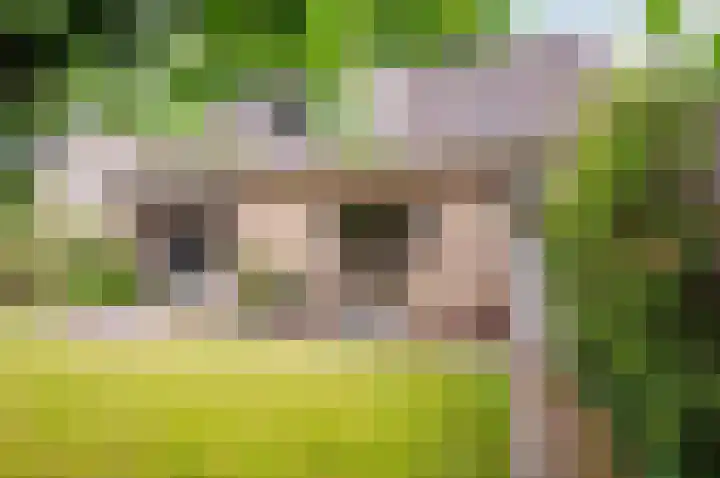 Wiekslag 3 Ermelo thumbnail 30
