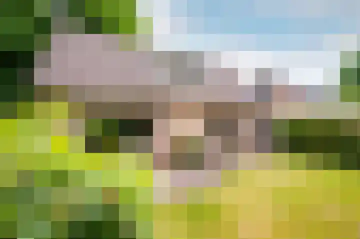 Wiekslag 3 Ermelo thumbnail 32