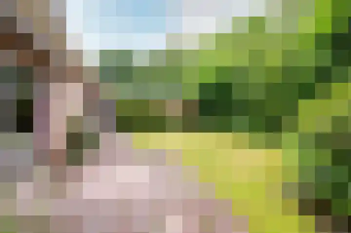 Wiekslag 3 Ermelo thumbnail 33
