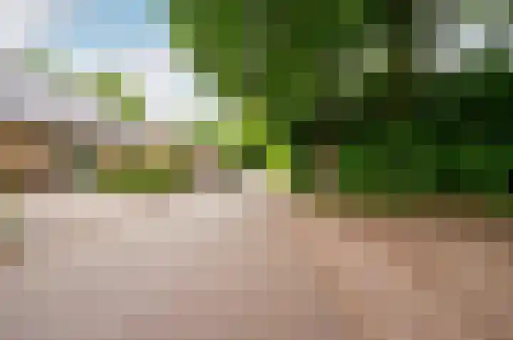 Wiekslag 3 Ermelo thumbnail 36