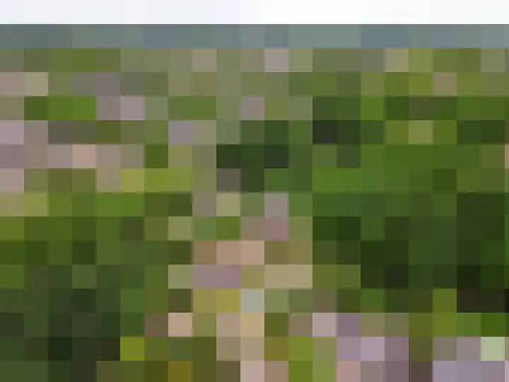 Wiekslag 3 Ermelo thumbnail 39