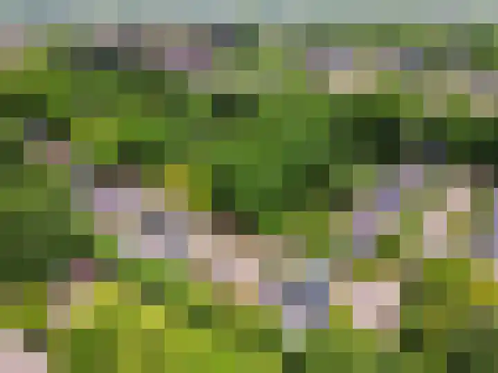 Wiekslag 3 Ermelo thumbnail 40