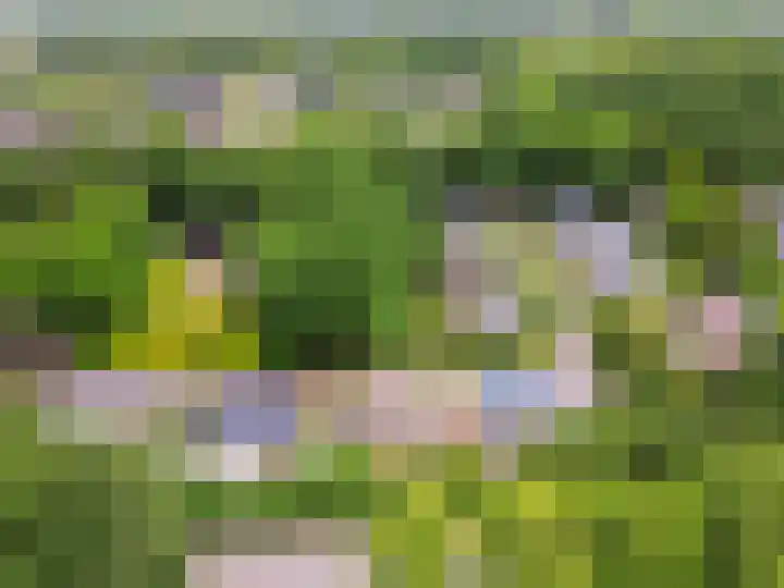 Wiekslag 3 Ermelo thumbnail 41