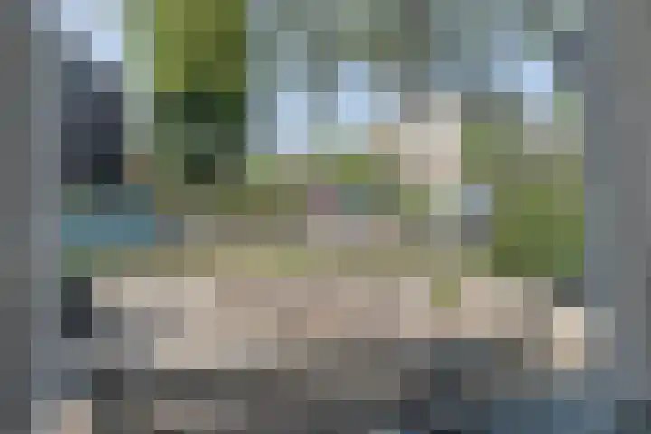 Wiekslag 339 Amersfoort thumbnail 10