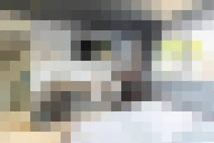 Wiekslag 339 Amersfoort thumbnail 27