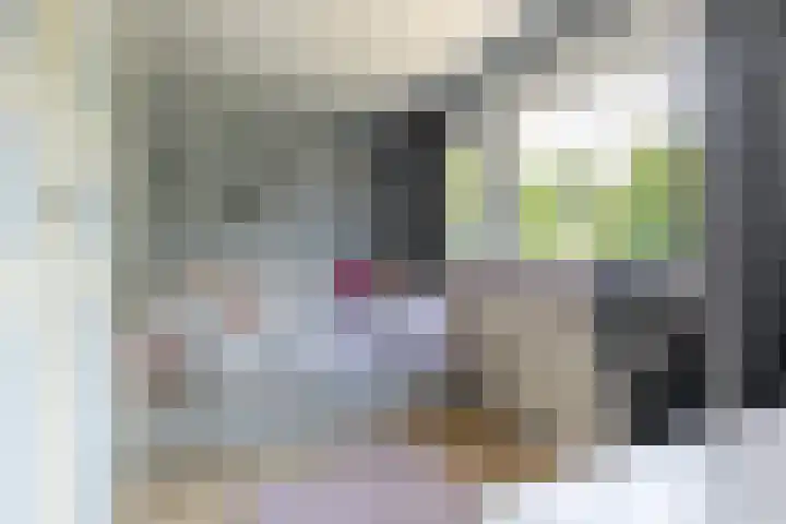 Wiekslag 339 Amersfoort thumbnail 28