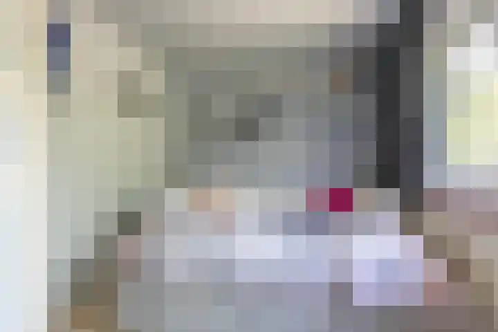 Wiekslag 339 Amersfoort thumbnail 29