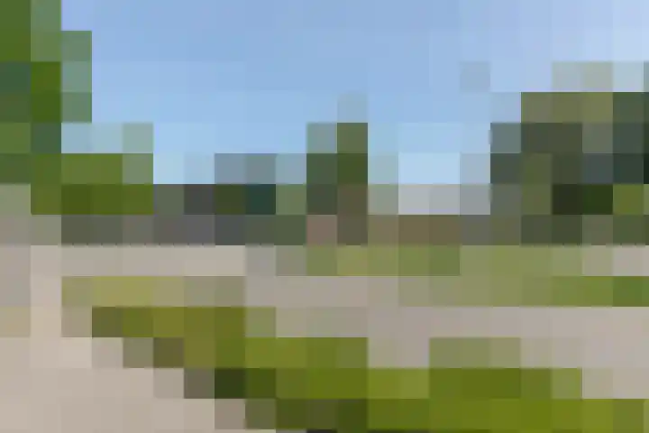 Wiekslag 339 Amersfoort thumbnail 35