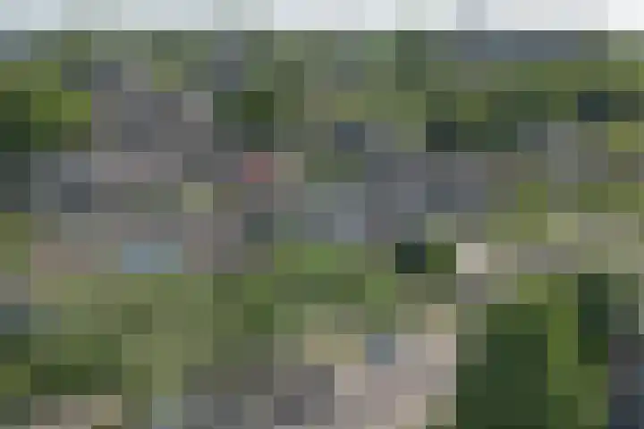Wiekslag 339 Amersfoort thumbnail 36