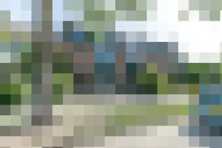 Wiekslag 339 Amersfoort thumbnail 39