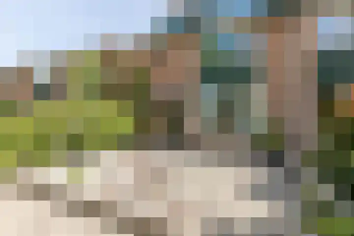Wiekslag 339 Amersfoort thumbnail 5