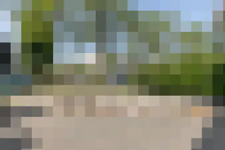 Wiekslag 339 Amersfoort thumbnail 6