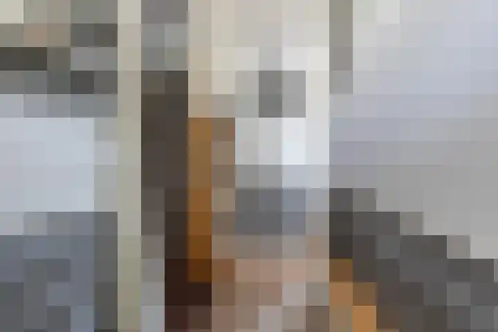 Wiekslag 339 Amersfoort thumbnail 7