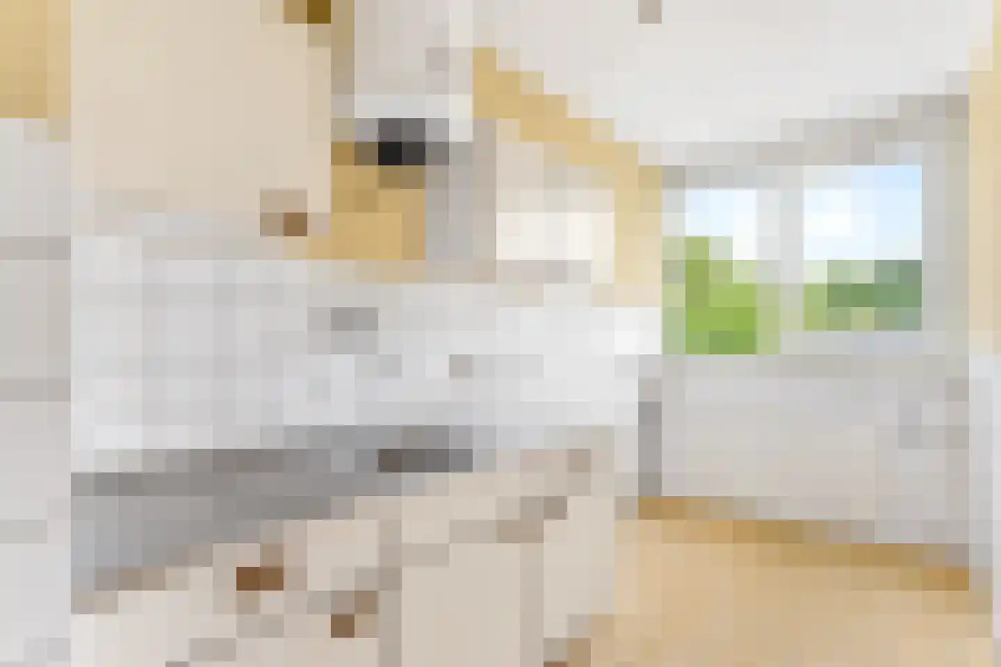 Wiekslag 45 Amersfoort thumbnail 12