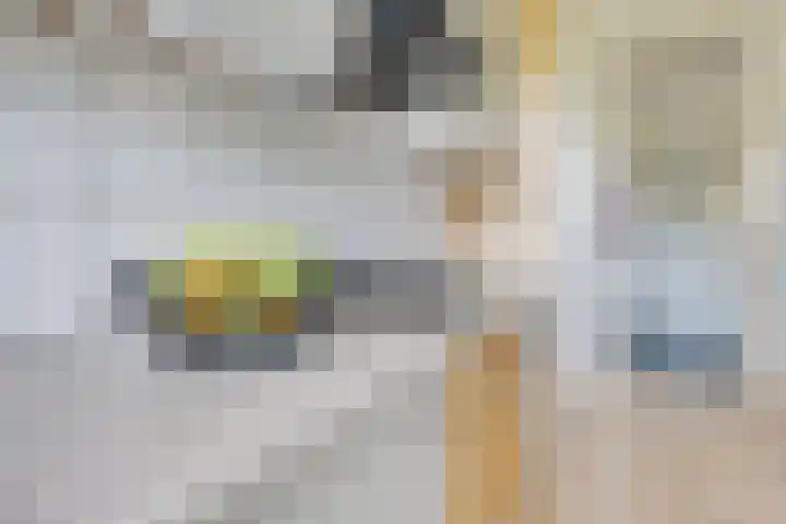 Wiekslag 51 Amersfoort thumbnail 11