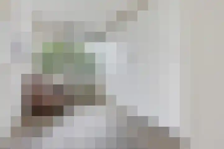 Wiekslag 51 Amersfoort thumbnail 24