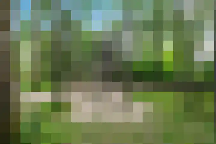 Wiekslag 51 Amersfoort thumbnail 29