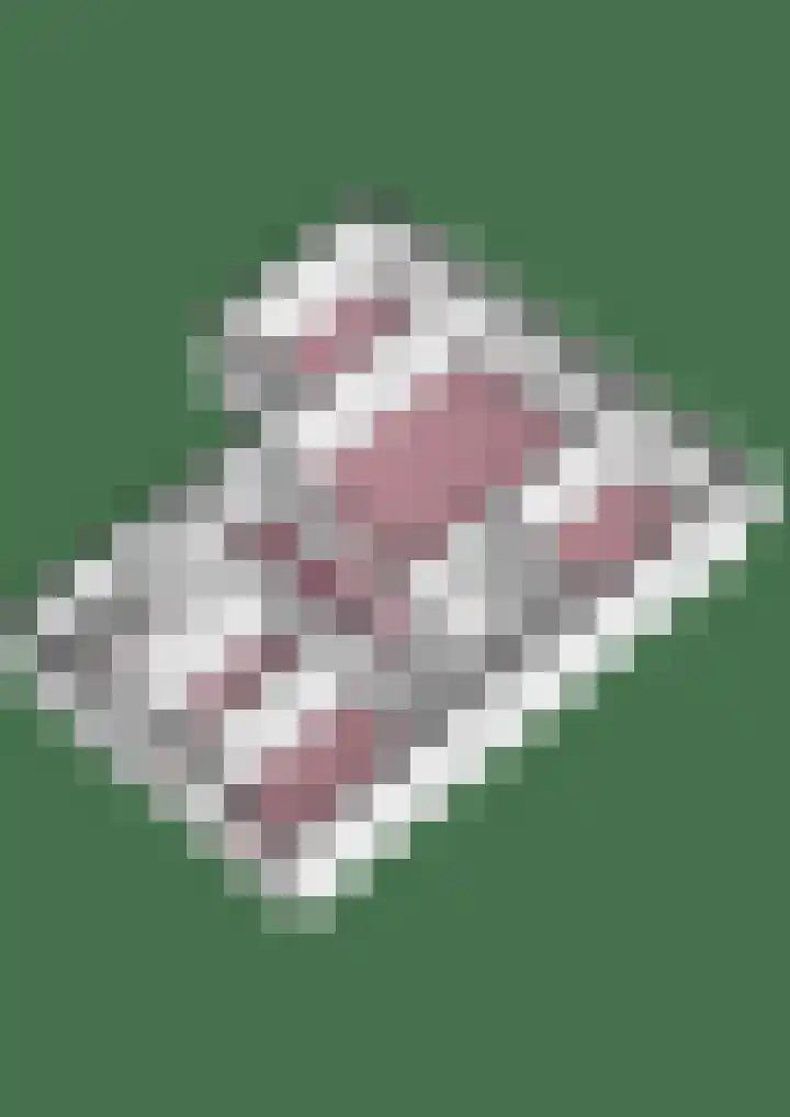 Wiekslag 51 Amersfoort thumbnail 33