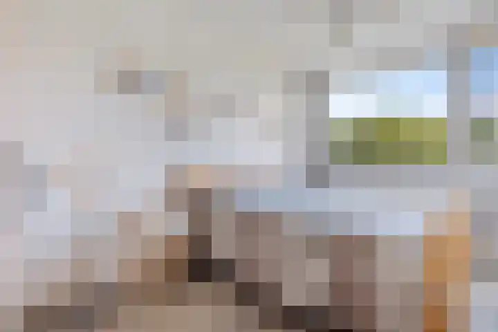 Wiekslag 51 Amersfoort thumbnail 4
