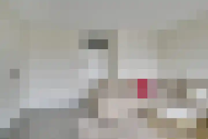 Wiekslag 69 Amersfoort thumbnail 16