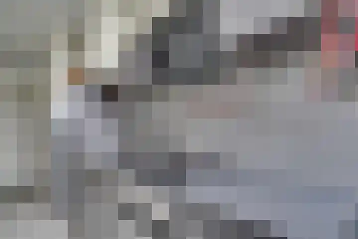 Wiekslag 69 Amersfoort thumbnail 19