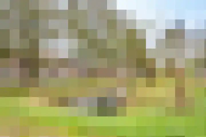 Wiekslag 69 Amersfoort thumbnail 32