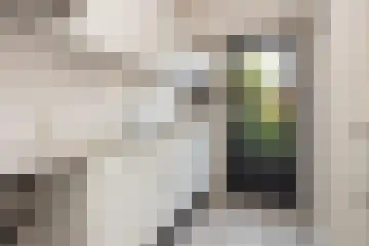 Wiekslag 74 Amersfoort thumbnail 11