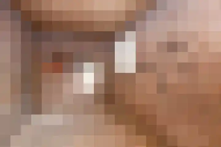 Wiekslag 74 Amersfoort thumbnail 17