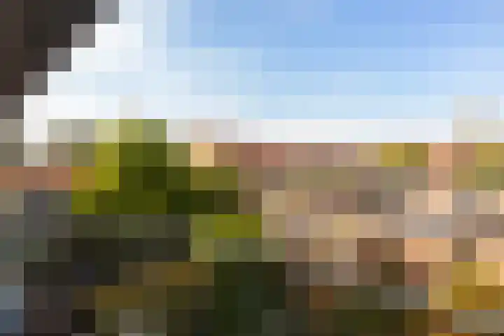 Wiekslag 74 Amersfoort thumbnail 21