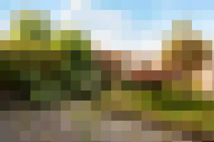 Wiekslag 74 Amersfoort thumbnail 5